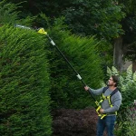 Ryobi ONE+ RPT184520 18V Cordless 450mm Hedge trimmer - Image 4